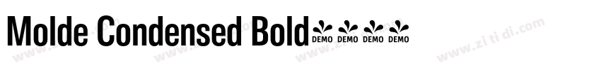 Molde Condensed Bold字体转换